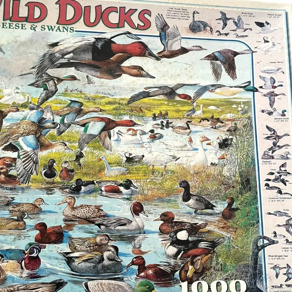White Mountain Wild Ducks Geese & Swans Jigsaw Puzzle 1000 Pieces 2004 Birds